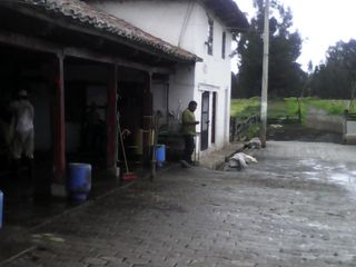 Foto 22 de Hacienda Ganadera Plana en Cayambe apta para floricola