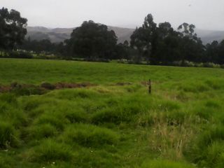 Foto 1 de Hacienda Ganadera Plana en Cayambe apta para floricola