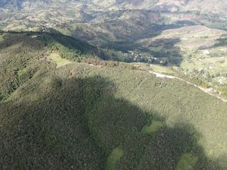 Foto 7 de Terreno amplio en Tarqui