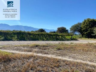 Foto 7 de Venta de Terreno en Barrio Privado La Estancia, Cafayate, Salta