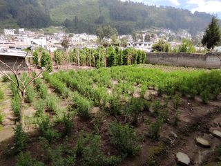 ✅ OFERTA - CASA CON TERRENO - MONSERRAT DE CONOCOTO.