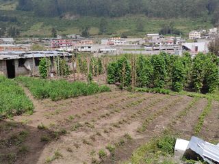 ✅ OFERTA - CASA CON TERRENO - MONSERRAT DE CONOCOTO.