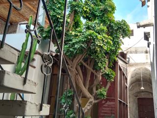 Foto 2 de Excelente Casa Ubicada En El Centro De La Ciudad