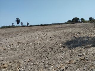 Terreno Agricola en Pisco 70,000 m2