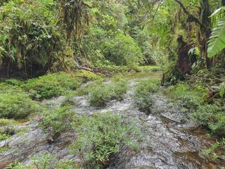 Finca de Venta en La Amazonía, Alto Valor Ecoturístico