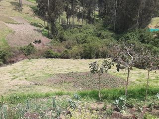 Foto 2 de IDEAL LOTIZADORES - ALANGASI - CHILLOS