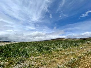 Foto 28 de HACIENDA DE 187 HECTAREAS EN VENTA- MACHACHI SECTOR EL CHAUPI