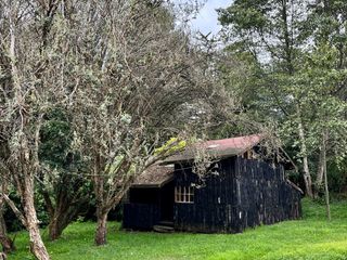 Foto 38 de HACIENDA DE 187 HECTAREAS EN VENTA- MACHACHI SECTOR EL CHAUPI