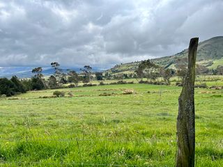 Foto 40 de HACIENDA DE 187 HECTAREAS EN VENTA- MACHACHI SECTOR EL CHAUPI