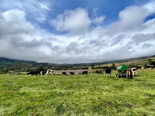 Foto 12 de HACIENDA DE 187 HECTAREAS EN VENTA- MACHACHI SECTOR EL CHAUPI