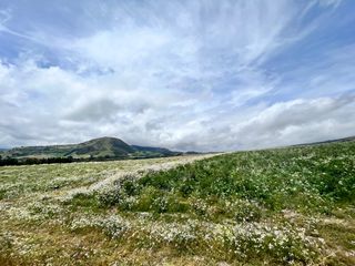 Foto 27 de HACIENDA DE 187 HECTAREAS EN VENTA- MACHACHI SECTOR EL CHAUPI