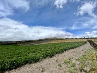 Foto 14 de HACIENDA DE 187 HECTAREAS EN VENTA- MACHACHI SECTOR EL CHAUPI
