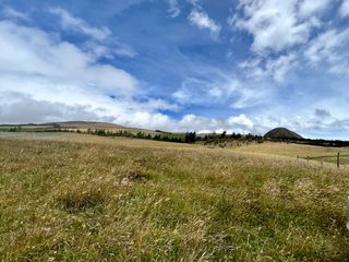 Foto 16 de HACIENDA DE 187 HECTAREAS EN VENTA- MACHACHI SECTOR EL CHAUPI