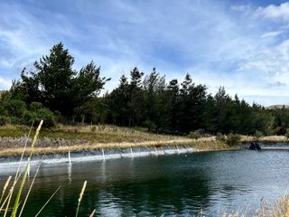 Foto 22 de HACIENDA DE 187 HECTAREAS EN VENTA- MACHACHI SECTOR EL CHAUPI
