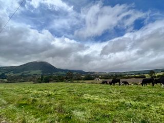 Foto 9 de HACIENDA DE 187 HECTAREAS EN VENTA- MACHACHI SECTOR EL CHAUPI