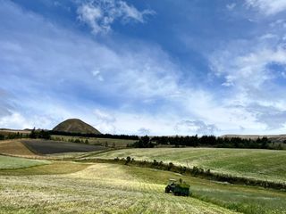 Foto 24 de HACIENDA DE 187 HECTAREAS EN VENTA- MACHACHI SECTOR EL CHAUPI