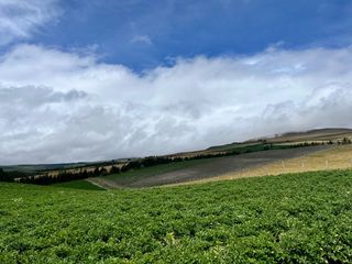 Foto 13 de HACIENDA DE 187 HECTAREAS EN VENTA- MACHACHI SECTOR EL CHAUPI