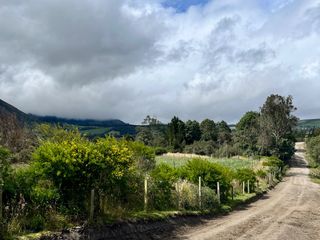Foto 6 de HACIENDA DE 187 HECTAREAS EN VENTA- MACHACHI SECTOR EL CHAUPI