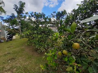 Foto 20 de Venta de casa campestre via al mar km 34 Dagua Valle del cauca
