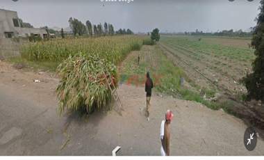 similar_image