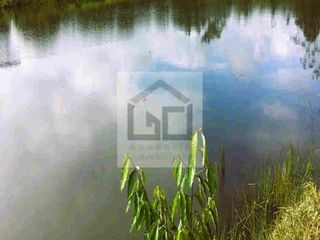 Foto 7 de Fundo en venta 34.5 Has. Km. 38.5 carretera Iquitos Nauta