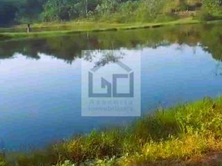 Foto 10 de Fundo en venta 34.5 Has. Km. 38.5 carretera Iquitos Nauta