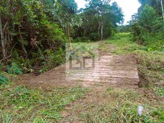 Foto 2 de Fundo en venta 34.5 Has. Km. 38.5 carretera Iquitos Nauta