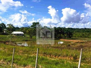Foto 1 de Fundo en venta 34.5 Has. Km. 38.5 carretera Iquitos Nauta