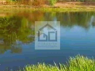 Foto 9 de Fundo en venta 34.5 Has. Km. 38.5 carretera Iquitos Nauta