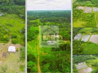Foto 13 de Fundo en venta 34.5 Has. Km. 38.5 carretera Iquitos Nauta