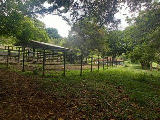 Foto 45 de FINCA YOTOCO GANADERA