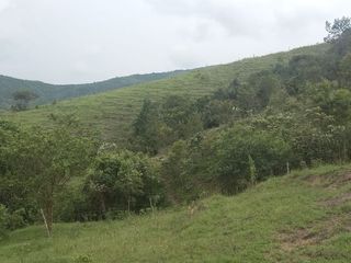 Foto 40 de FINCA YOTOCO GANADERA