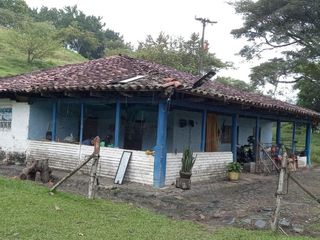 Foto 11 de FINCA YOTOCO GANADERA