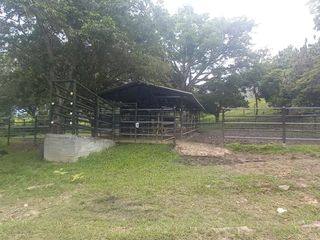 Foto 48 de FINCA YOTOCO GANADERA