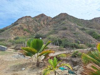 Foto 25 de SE VENDE TERRENOS INDEPENDIZADOS EN PUNTA SAL TUMBES