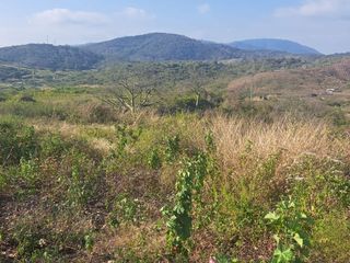Foto 3 de Terreno de venta en montecristi, zona la pila