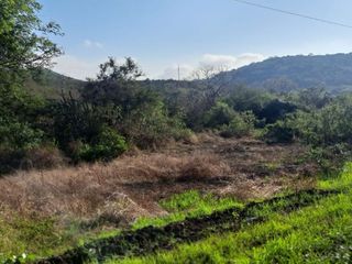 Foto 9 de Terreno de venta en montecristi, zona la pila