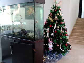 Foto 3 de Venta Casa Vía Piedecuesta