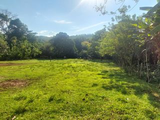 Foto 32 de VENDO FINCA GANADERA 34.7 HA EN TARAPOTO - PERU