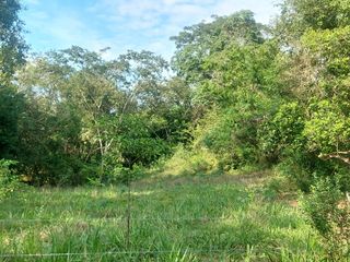 Foto 13 de VENDO FINCA GANADERA 34.7 HA EN TARAPOTO - PERU