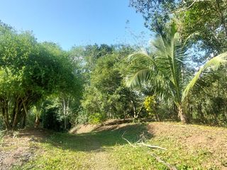 Foto 40 de VENDO FINCA GANADERA 34.7 HA EN TARAPOTO - PERU