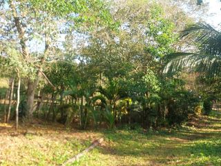 Foto 11 de VENDO FINCA GANADERA 34.7 HA EN TARAPOTO - PERU