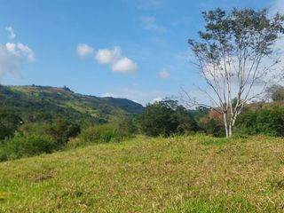 Foto 2 de VENDO FINCA GANADERA 34.7 HA EN TARAPOTO - PERU