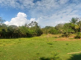 Foto 36 de VENDO FINCA GANADERA 34.7 HA EN TARAPOTO - PERU