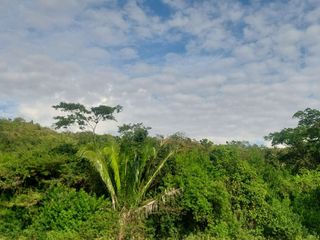 Foto 24 de VENDO FINCA GANADERA 34.7 HA EN TARAPOTO - PERU