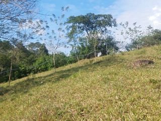 Foto 16 de VENDO FINCA GANADERA 34.7 HA EN TARAPOTO - PERU