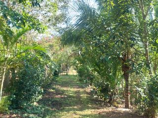 Foto 42 de VENDO FINCA GANADERA 34.7 HA EN TARAPOTO - PERU