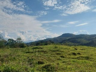 Foto 20 de VENDO FINCA GANADERA 34.7 HA EN TARAPOTO - PERU