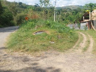 Foto 6 de VENDO FINCA GANADERA 34.7 HA EN TARAPOTO - PERU