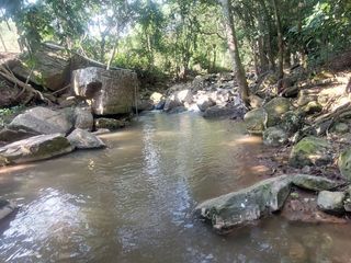 Foto 35 de VENDO FINCA GANADERA 34.7 HA EN TARAPOTO - PERU